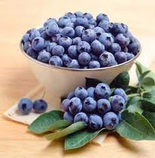 billberry-fruit-supplement for eye